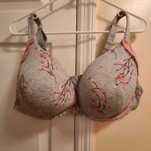 Cacique 42D Plunge Bra